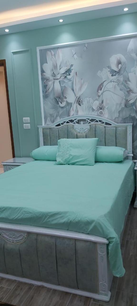 Furnished , Nile View Apartment Cairo
